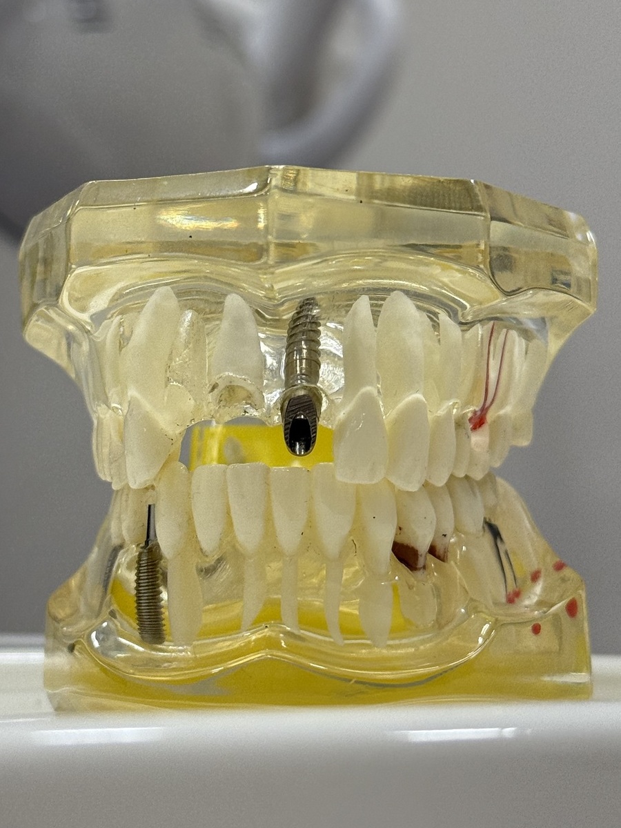 <span style="font-weight: bold;">ОРТОПЕДИЯ</span>